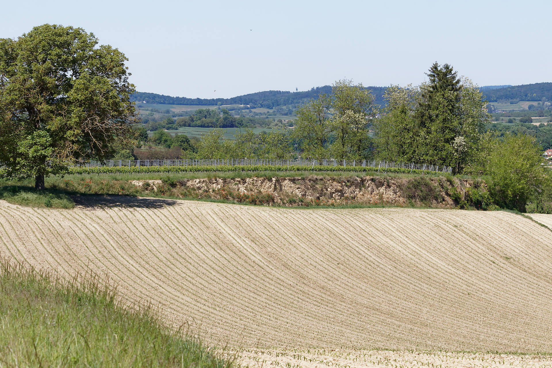 Das Ziel ist erreicht